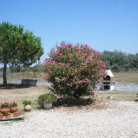 Mas Du Clos De La Barque
